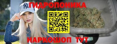 гашик Ликино-Дулёво