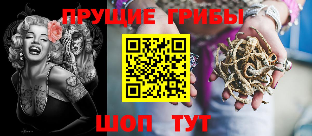 Меф Димитровград