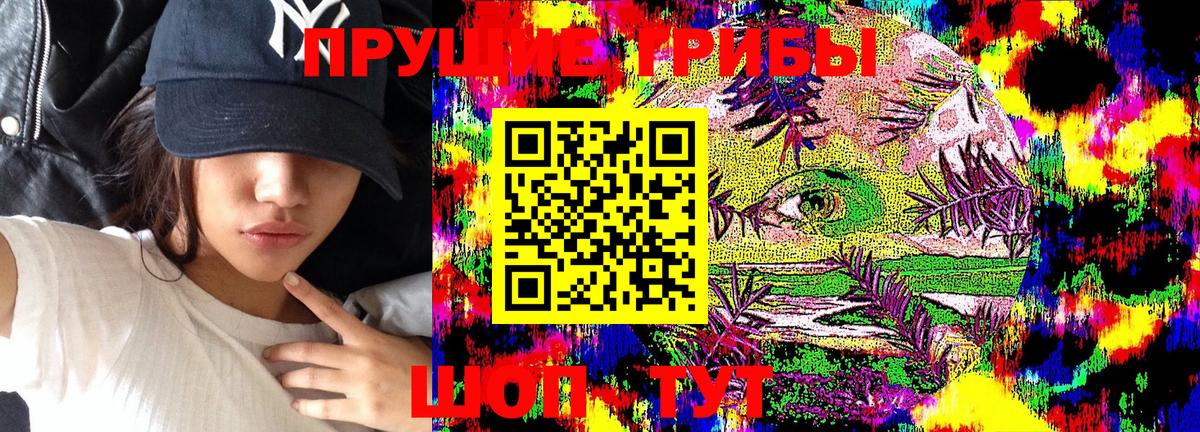 Псилоцибиновые грибы Psilocybine cubensis  Вход с VPN  Димитровград 